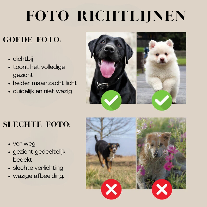 Huisdier Mok Hond - Gepersonaliseerde Foto en Naam